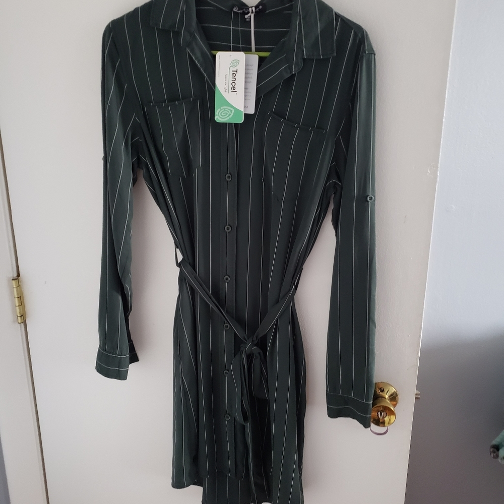 NWT Velvet Heart Dress Green XS
